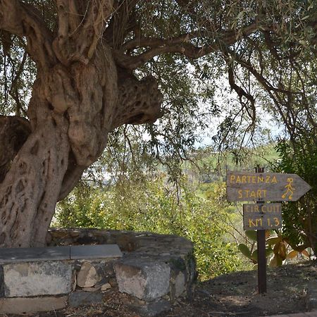 Antico Borgo Etneo Country Hotel كالاتابيانو المظهر الخارجي الصورة