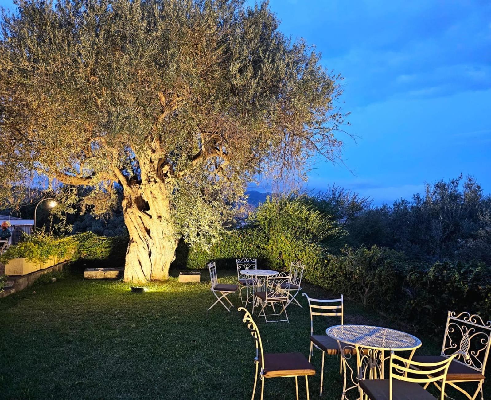 Antico Borgo Etneo Country Hotel كالاتابيانو المظهر الخارجي الصورة