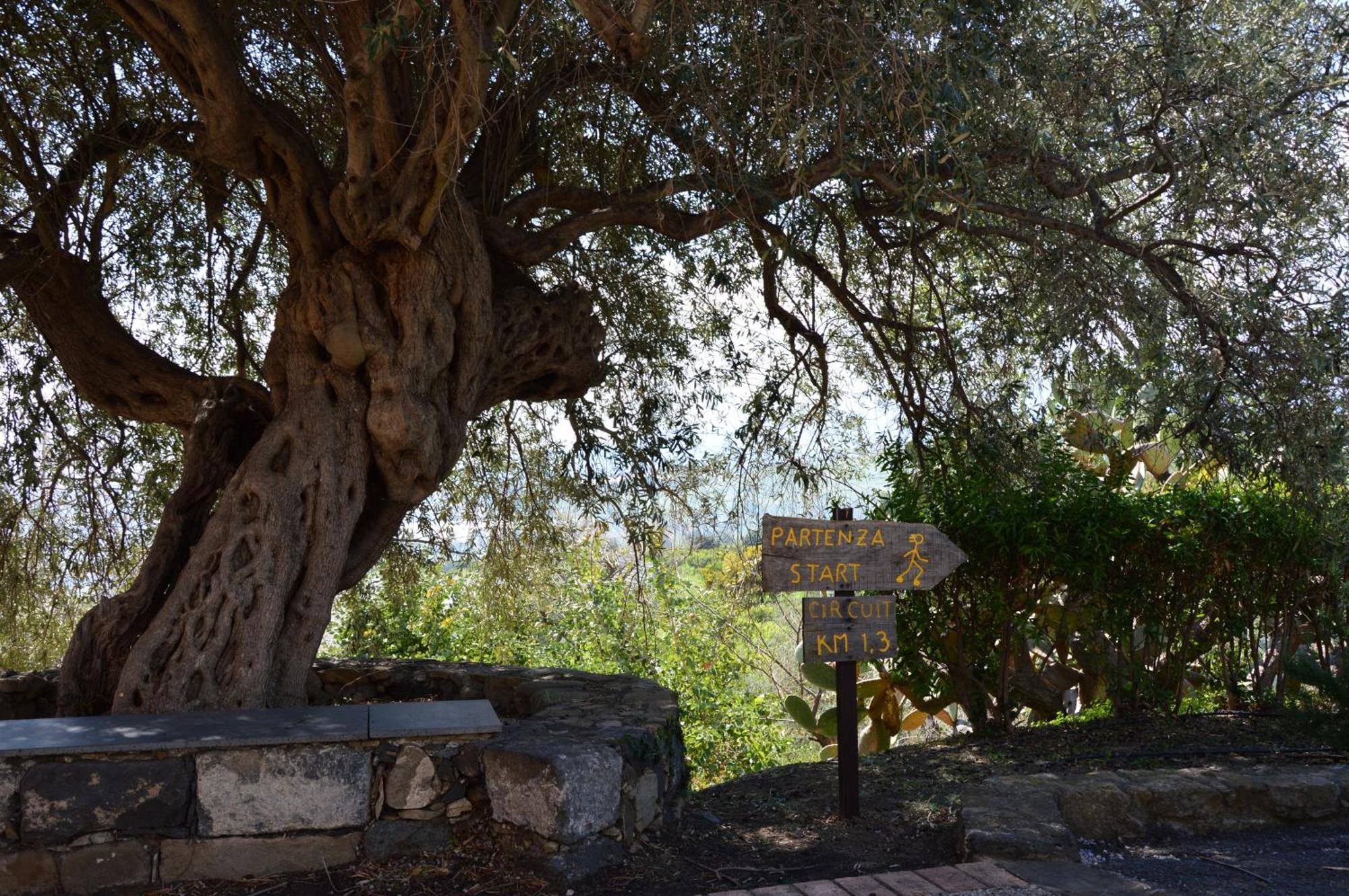 Antico Borgo Etneo Country Hotel كالاتابيانو المظهر الخارجي الصورة
