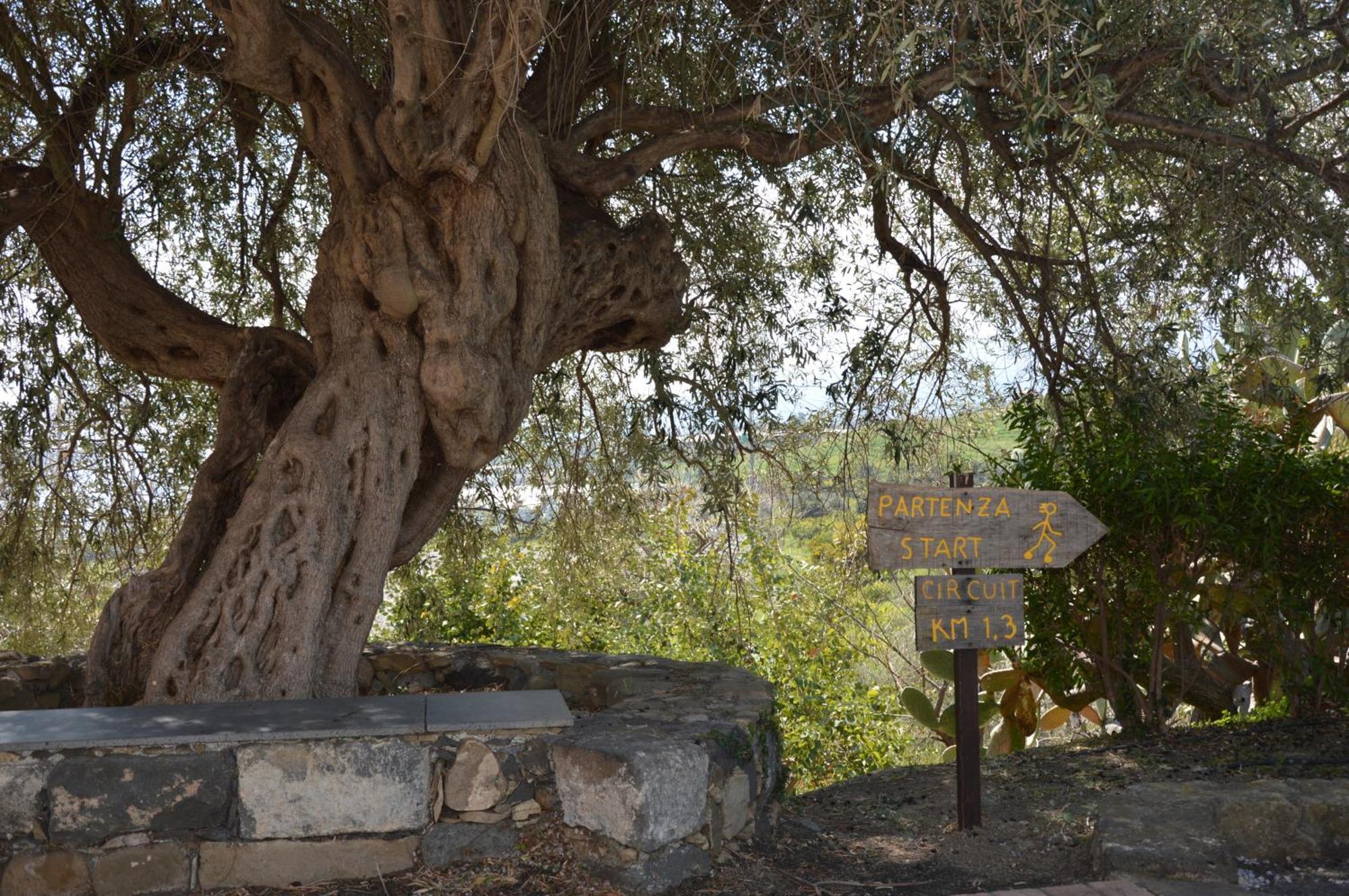 Antico Borgo Etneo Country Hotel كالاتابيانو المظهر الخارجي الصورة
